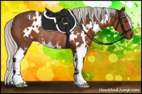 Horse Color:White Spotted Silver Brown Mushroom Rabicano 