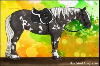 Horse Color:White Spotted Liver Chestnut Mushroom 