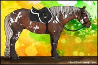 Horse Color:White Spotted Silver Brown Mushroom Rabicano 