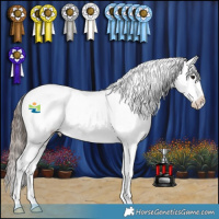 Horse Color:Black Tobiano Snowcap 
