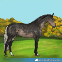Horse Color:Gray Silver Smoky Black Rabicano 