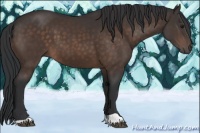 Horse Color:Brown 