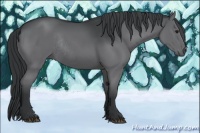 Horse Color:Black Chinchilla Rabicano 