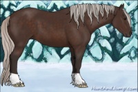 Horse Color:Silver Brown 