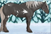 Horse Color:White Spotted Silver Black 