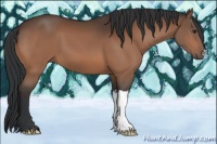 Horse Color:Brown 