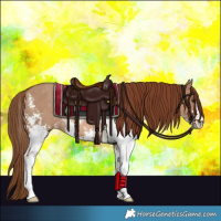 Horse Color:Red Dun Sabino Rabicano