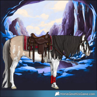 Horse Color:Bay Dun Sabino Splash Rabicano 