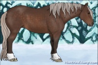 Horse Color:Silver Brown 