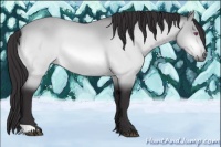 Horse Color:Buckskin Chinchilla 