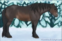 Horse Color:Brown 