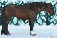 Horse Color:Brown 