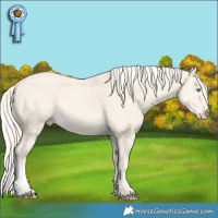 Horse Color:Cremello Dun 