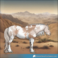 Horse Color:White Spotted Liver Chestnut Pearl Mushroom Rabicano