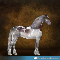 Horse Color:Nacre White Spotted Silver Brown Ice Rabicano 