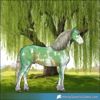 Horse Color:Watercolor White Spotted Liver Chestnut Mushroom 