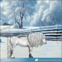 Horse Color:White Spotted Silver Brown Chinchilla Ice Dun