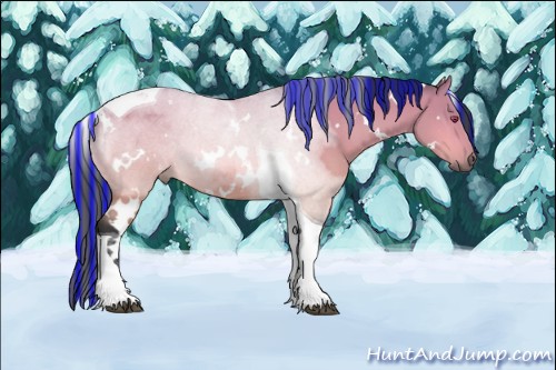 Horse Color:Painted White Spotted Bay Chinchilla Dun Tobiano 