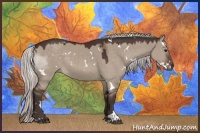 Horse Color:White Spotted Silver Brown Dun Mushroom Sabino 