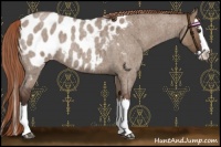 Horse Color:Liver Red Dun Roan Splash Blanket Brindle 
