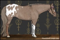Horse Color:Liver Red Dun Mushroom Blanket Brindle 