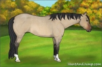 Horse Color:Bay Roan Dun 