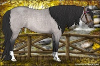 Horse Color:Platinum Bay Roan Dun 