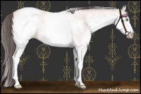Horse Color:Platinum White Spotted Amber Cream Champagne Roan 