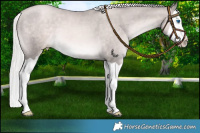 Horse Color:Platinum Chocolate Palomino Pearl Splash