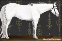 Horse Color:Platinum Perlino Roan Dun 