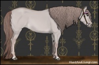Horse Color:Platinum Red Dun 