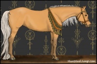 Horse Color:Silver Buckskin 