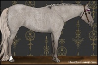 Horse Color:Silver Grullo Roan 