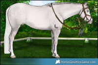 Horse Color:Platinum Chocolate Palomino Pearl