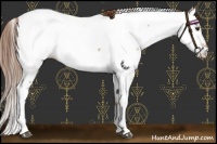 Horse Color:Red Dun Roan Tobiano Near Fewspot 