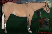 Horse Color:Silver Bay Dun Tobiano 