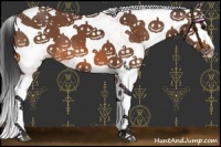 Horse Color:White Spotted Bay Splash