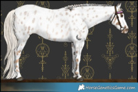 Horse Color:Chocolate Palomino Roan Near Leopard