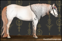 Horse Color:Gray Perlino Roan 
