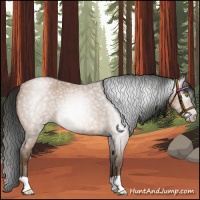 Horse Color:Gray Amber Champagne Roan