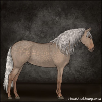 Horse Color:Silver Grullo Roan Sabino