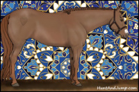 Horse Color:Chestnut Frame 