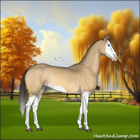 Horse Color:Buckskin Dun Splash 