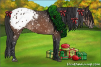 Horse Color:Brown Appaloosa 