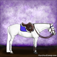 Horse Color:Gray Silver Buckskin Dun Tobiano 