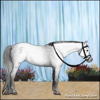 Horse Color:Gray Black 