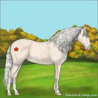 Horse Color:Cremello Splash  and Cremello Splash 