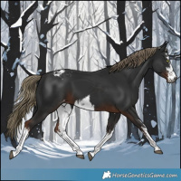 Horse Color:Gray White Spotted Liver Chestnut Mushroom Varnish 