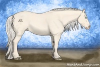 Horse Color:Cremello Roan  and Cremello Roan 