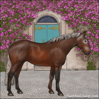 Horse Color:Gray Silver Bay 